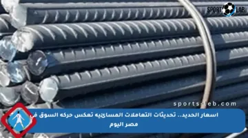 أسعار الحديد.. تحديثات التعاملات المسائية تعكس حركة السوق في مصر اليوم